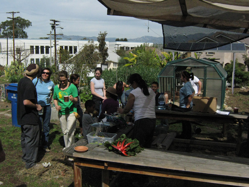 Proyecto Jardin work day feb 28