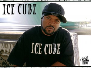 16-ice-cube