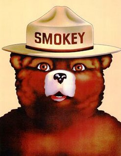 smokey-the-bear